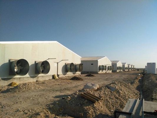 Staalboerderij Huis voor dieren Eén helling Veeteelt op maat
