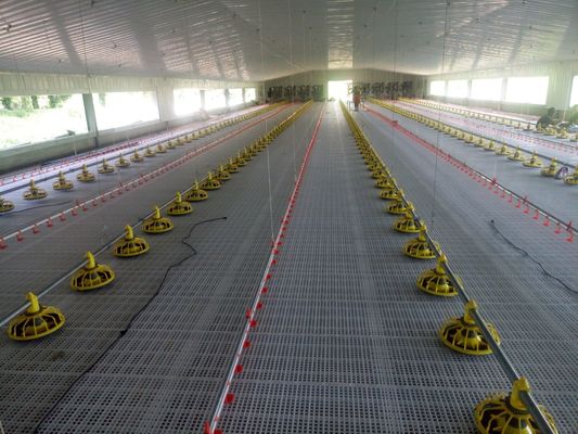 OEM Broiler Floor System 380V Broiler Flat Raising Whole House Systeem