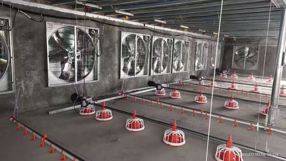 OEM Broiler Floor System 380V Broiler Flat Raising Whole House Systeem