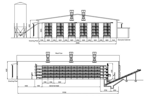 ISO Broiler Chicken Cage System Custom Poultry Broiler Cage Voor pluimveehouderij
