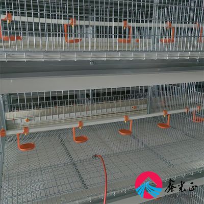 EPS geïsoleerd kippenboerderij huis met aluminium legering ramen