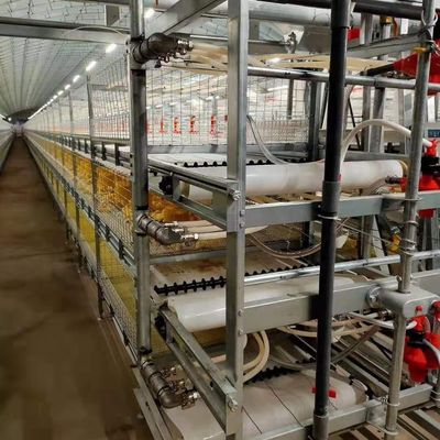 Industrieel vee staalstructuur boerderijhuis gebruik kleurrijk paneel