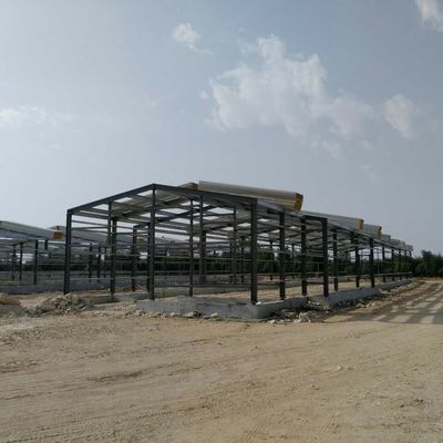 Pre-engineered veehouderij Huis Kip Steel Structure Warehouse