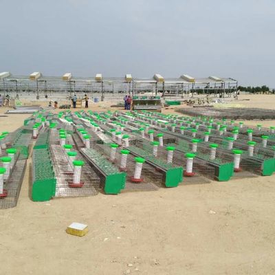 Pre-engineered veehouderij Huis Kip Steel Structure Warehouse