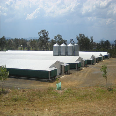 Weld Bolt Metal Chicken Coop Farm House Equipment CE-certificaat