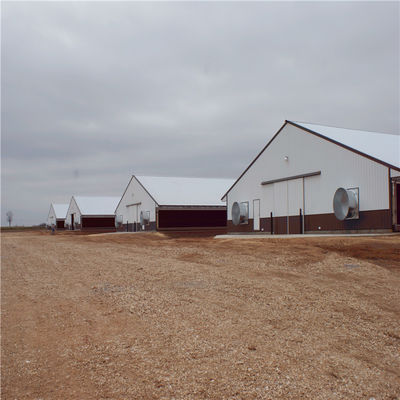 Weld Bolt Metal Chicken Coop Farm House Equipment CE-certificaat