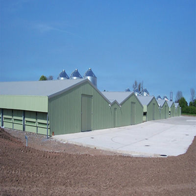 SGS Veehouderij Huis Geprefabriceerd Geautomatiseerd Stalen Frame Kippenkooi