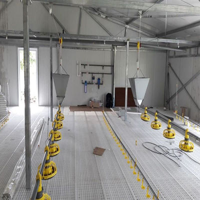 SGS Veehouderij Huis Geprefabriceerd Geautomatiseerd Stalen Frame Kippenkooi