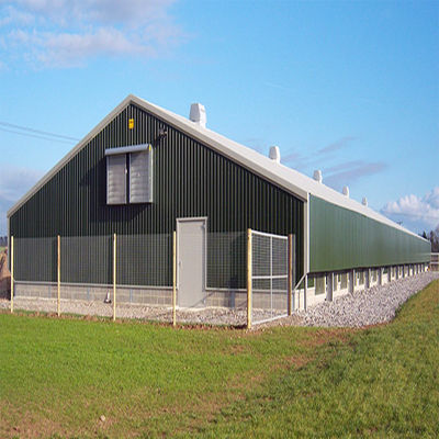 SGS Veehouderij Huis Geprefabriceerd Geautomatiseerd Stalen Frame Kippenkooi