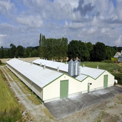 SGS Veehouderij Huis Geprefabriceerd Geautomatiseerd Stalen Frame Kippenkooi
