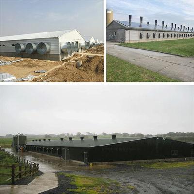 SGS Veehouderij Huis Geprefabriceerd Geautomatiseerd Stalen Frame Kippenkooi