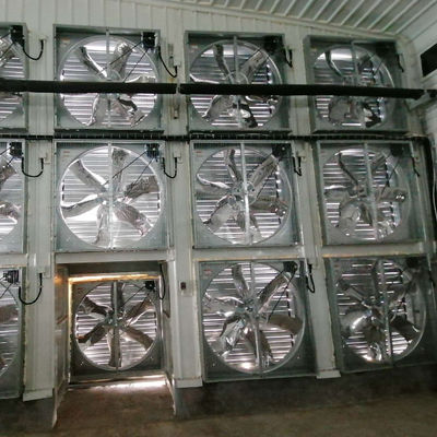 Stalen pluimveehuis met schuiframen en ventilatie