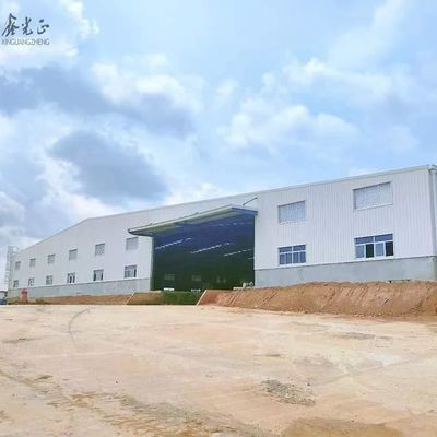 Op maat gemaakte bouw Prefabricated Steel Structure Warehouse met brandwerend paneel