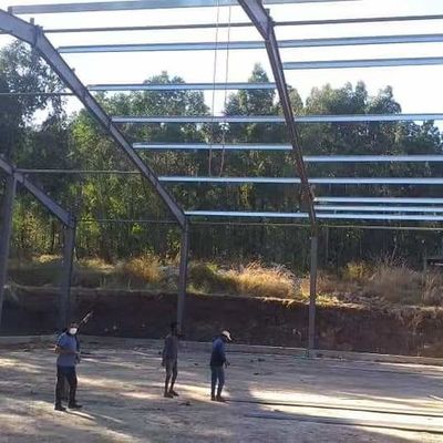 Op maat gemaakte bouw Prefabricated Steel Structure Warehouse met brandwerend paneel