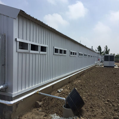 Vleegveehouderij kippenhuis licht geprefabriceerd staalconstructiegebouw