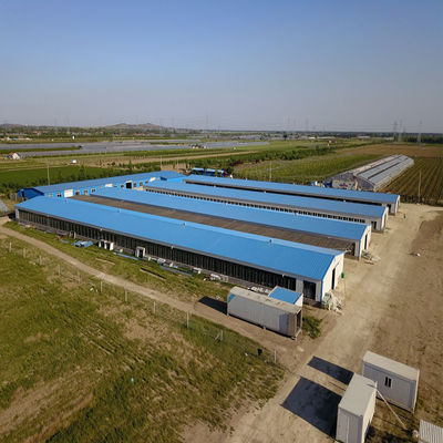 Vleegveehouderij kippenhuis licht geprefabriceerd staalconstructiegebouw