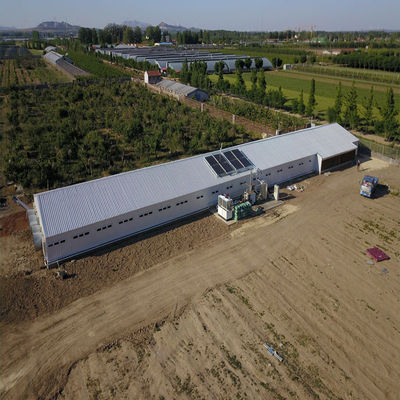 Vleegveehouderij kippenhuis licht geprefabriceerd staalconstructiegebouw