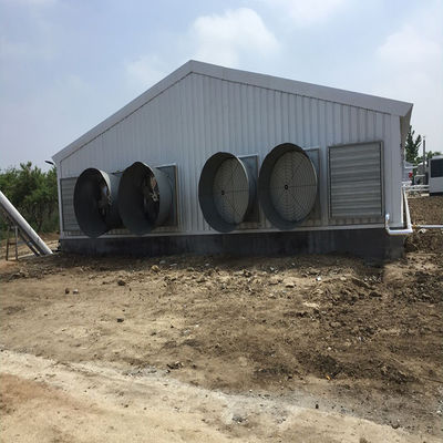 Vleegveehouderij kippenhuis licht geprefabriceerd staalconstructiegebouw