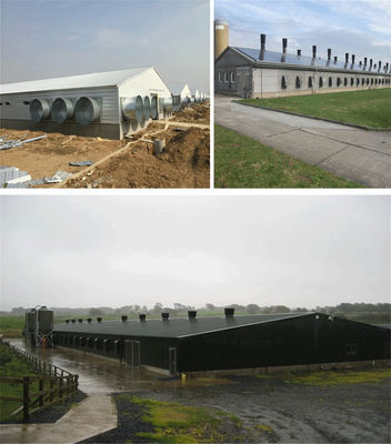 CE Veehouderij Huis Staalstructuur Kippenhuis En Apparatuur Voor Kippen