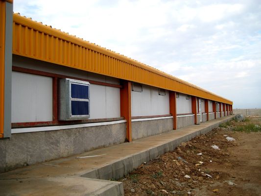 H sectie staal commercieel kippenhuis geprefabriceerde staalconstructie