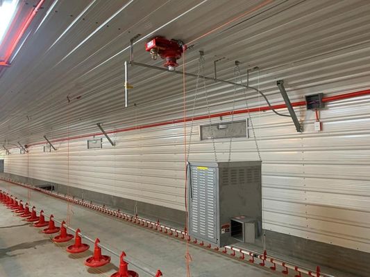 H sectie staal commercieel kippenhuis geprefabriceerde staalconstructie
