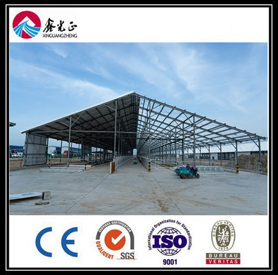 OEM gegalvaniseerd staalconstructiegebouw
