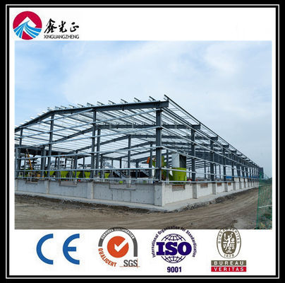 OEM gegalvaniseerd staalconstructiegebouw