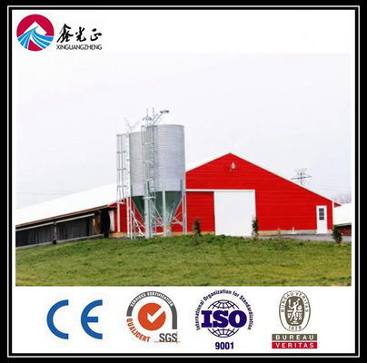 CE Broiler Chicken Cage System Pan Feeding System Voor pluimveehouderij