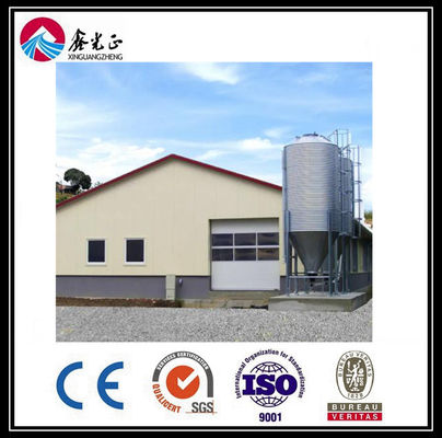 CE Broiler Chicken Cage System Pan Feeding System Voor pluimveehouderij