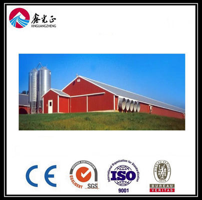 CE Broiler Chicken Cage System Pan Feeding System Voor pluimveehouderij