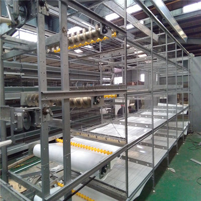 H Frame Cage Design Automatic Broiler Feeding System voor geavanceerde boerderijen