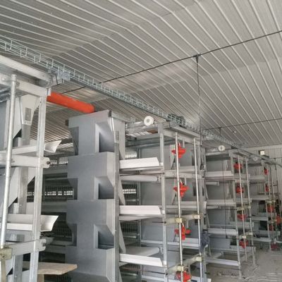 Grote broiler kippenkooien 230M*56M voor land van oorsprong