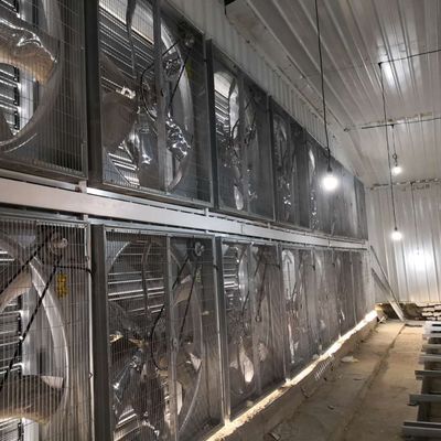 Grote broiler kippenkooien 230M*56M voor land van oorsprong