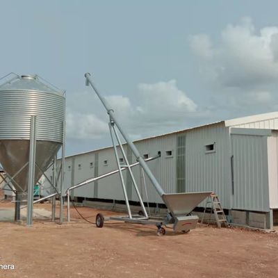 Automatisch voedingssysteem voor broilers De ideale oplossing voor pluimveehouderijen