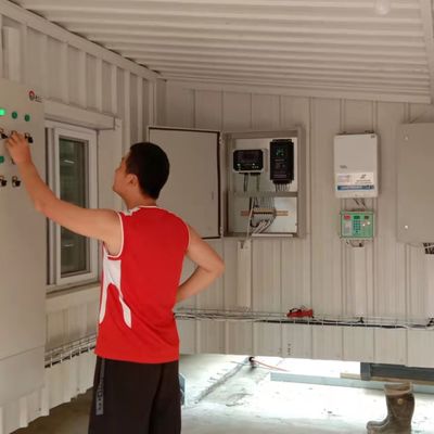 Automatisch voedingssysteem voor broilers De ideale oplossing voor pluimveehouderijen