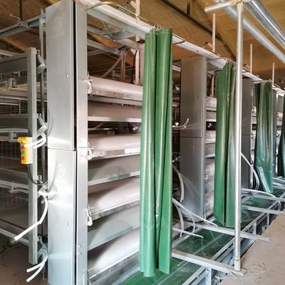Slechte flexibiliteit Broiler kippenkooi systeem breed elegant en modern ontwerp