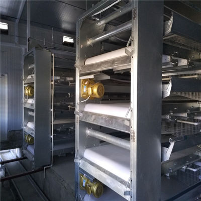 Slank en modern ontwerp Automatisch voedingssysteem voor broilers met elektrostatische bespuiting