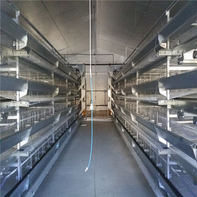 Slank en modern ontwerp Automatisch voedingssysteem voor broilers met elektrostatische bespuiting