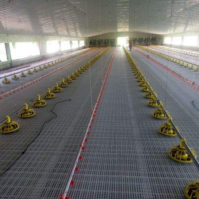 Plastic pluimveehouderij voor optimale prestaties in de pluimveehouderij