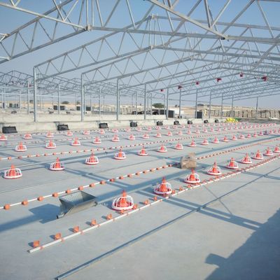 Plastic pluimveehouderij voor optimale prestaties in de pluimveehouderij