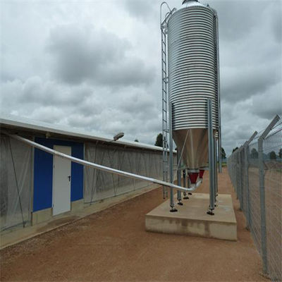 Uitstekend ventilatiesysteem voor broilervloeren voor veehouderij
