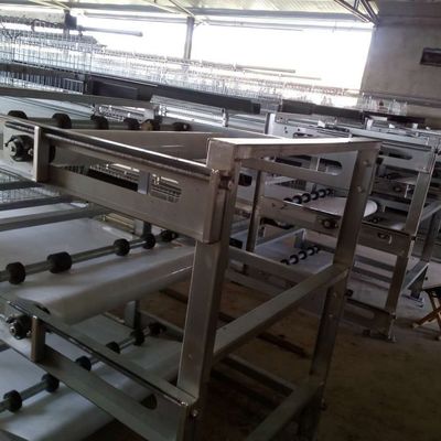 3 lagen warm gedompelde gegalvaniseerde kippenkooi met automatische voeding