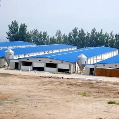 Gemakkelijk te monteren ontwerp draagbaar laagkosten pluimveehuis staalstructuur