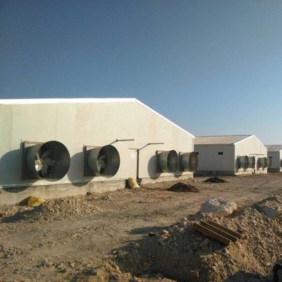 Op maat gemaakte prefab pluimveehuis met isolatiepanelen