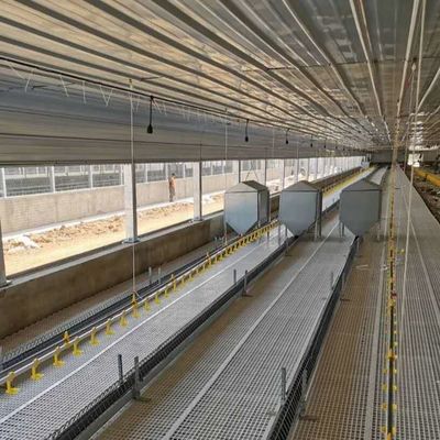 Duurzaam weerbestendig Staalgebouw van pluimveeweerbestendig