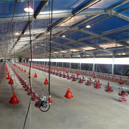 Uitstekend ventilatiesysteem voor broilervloeren voor veehouderij