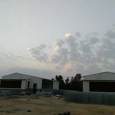 Pre-engineered veehouderij Huis Kip Steel Structure Warehouse