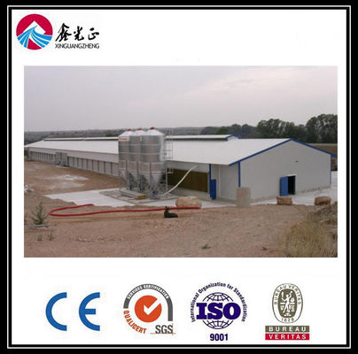 CE Broiler Chicken Cage System Pan Feeding System Voor pluimveehouderij