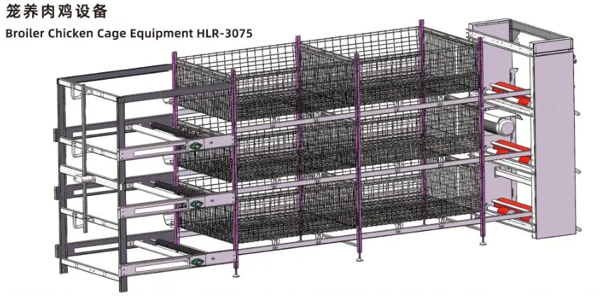 ISO Broiler Chicken Cage System Custom Poultry Broiler Cage Voor pluimveehouderij 2
