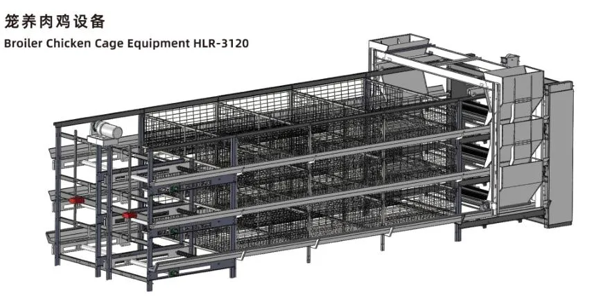 ISO Broiler Chicken Cage System Custom Poultry Broiler Cage Voor pluimveehouderij 1